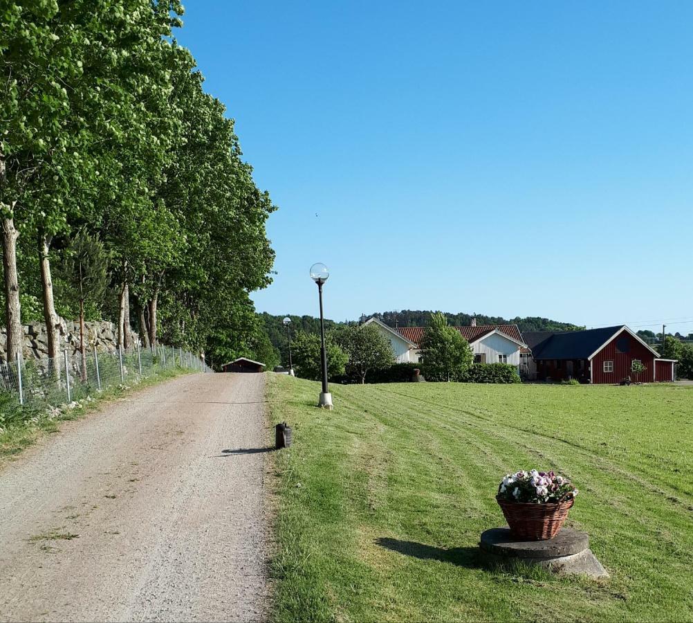 Stenaberg Kungsbacka község Kültér fotó