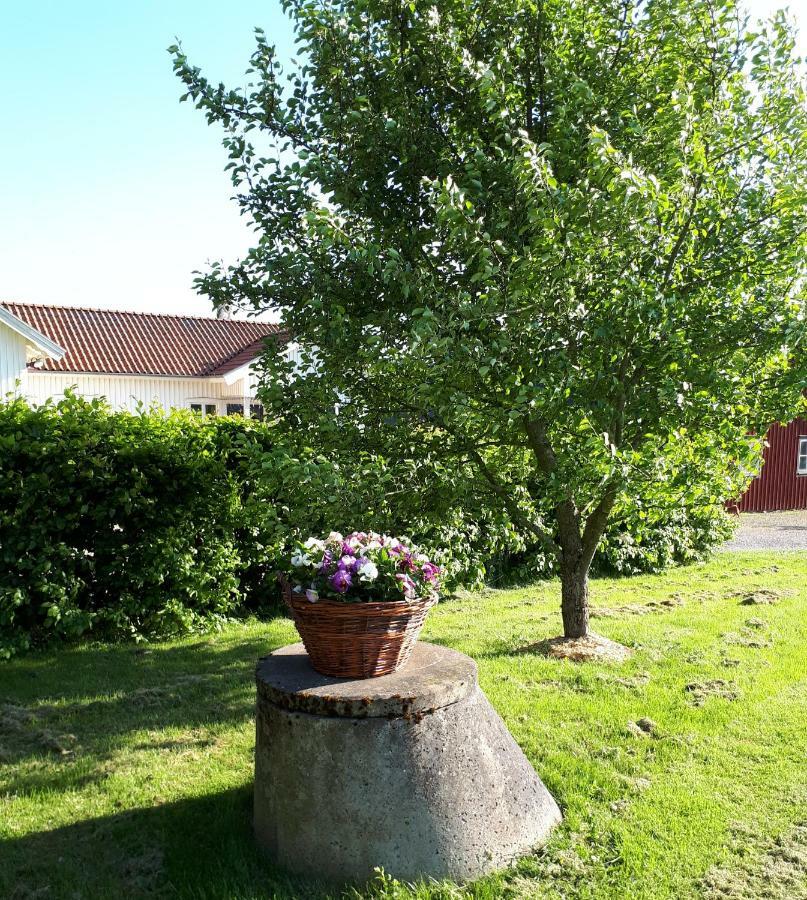 Stenaberg Kungsbacka község Kültér fotó